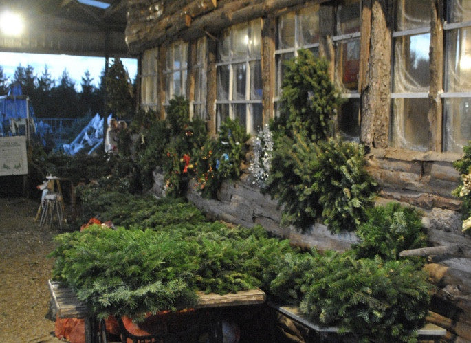 Kingswood Christmas Trees - a Kentish hidden gem!