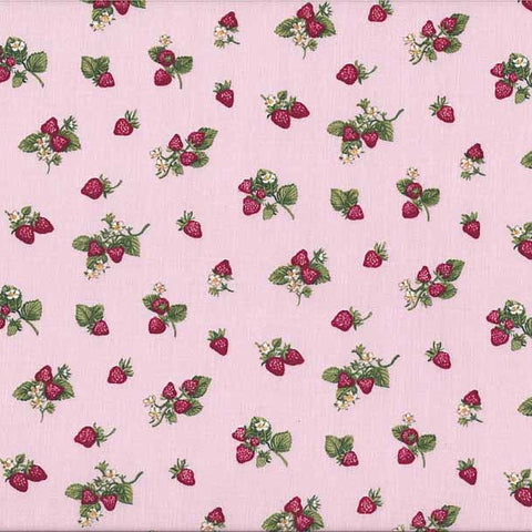 FQ0174 Spot On RASPBERRY - Makower UK
