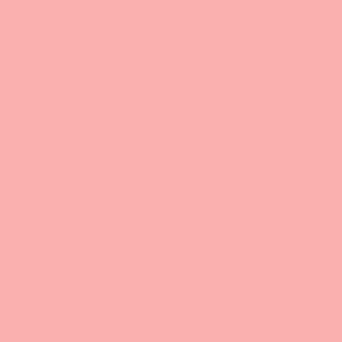 FQ0174 Spot On RASPBERRY - Makower UK