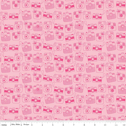 FQ0174 Spot On RASPBERRY - Makower UK