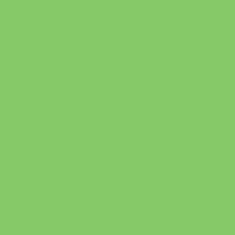 Makower Spectrum - Foliage Green G04