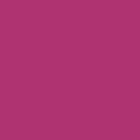 FQ0174 Spot On RASPBERRY - Makower UK
