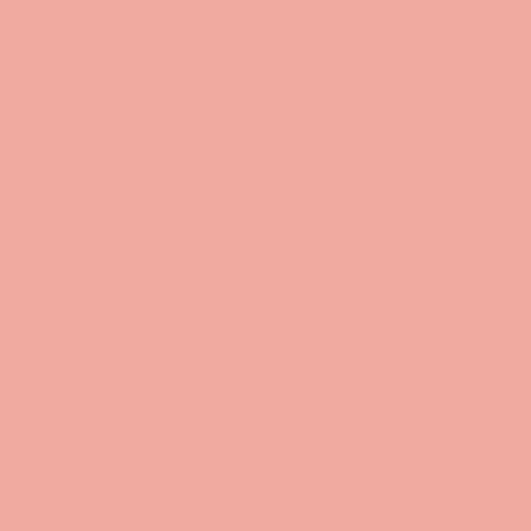 FQ0174 Spot On RASPBERRY - Makower UK