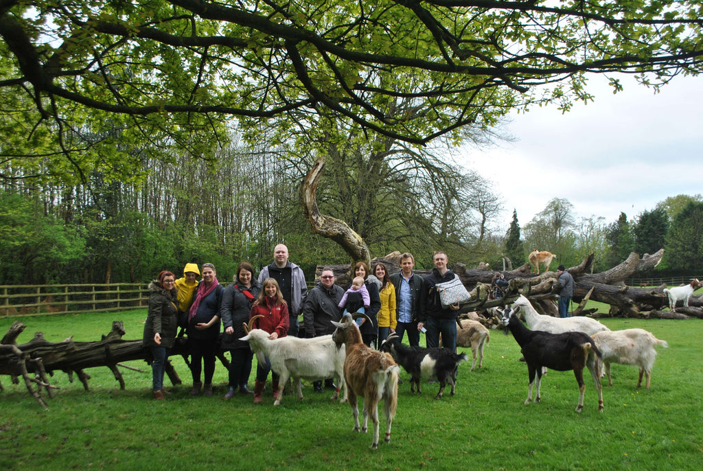Our Donation - Buttercups Sanctuary For Goats - Maidstone, Kent