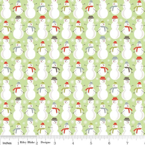 FQ0639 A Merry Little Christmas - Zoe Pearn – Riley Blake Designs